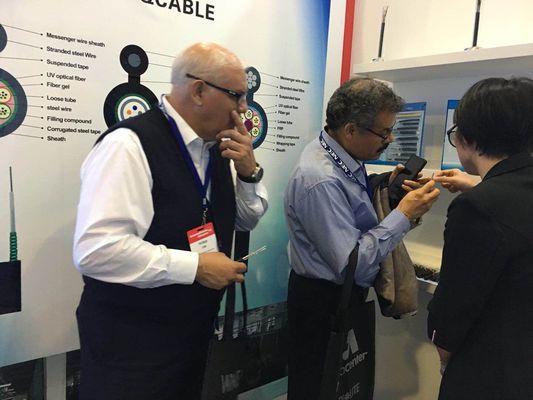 Não cabo subterrâneo de fibra ótica do roedor GYFTY6363 do metal anti