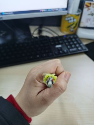 Cabo de uma comunicação do núcleo ADSS do único modo 24, todo o cabo de fibra ótica dielétrico